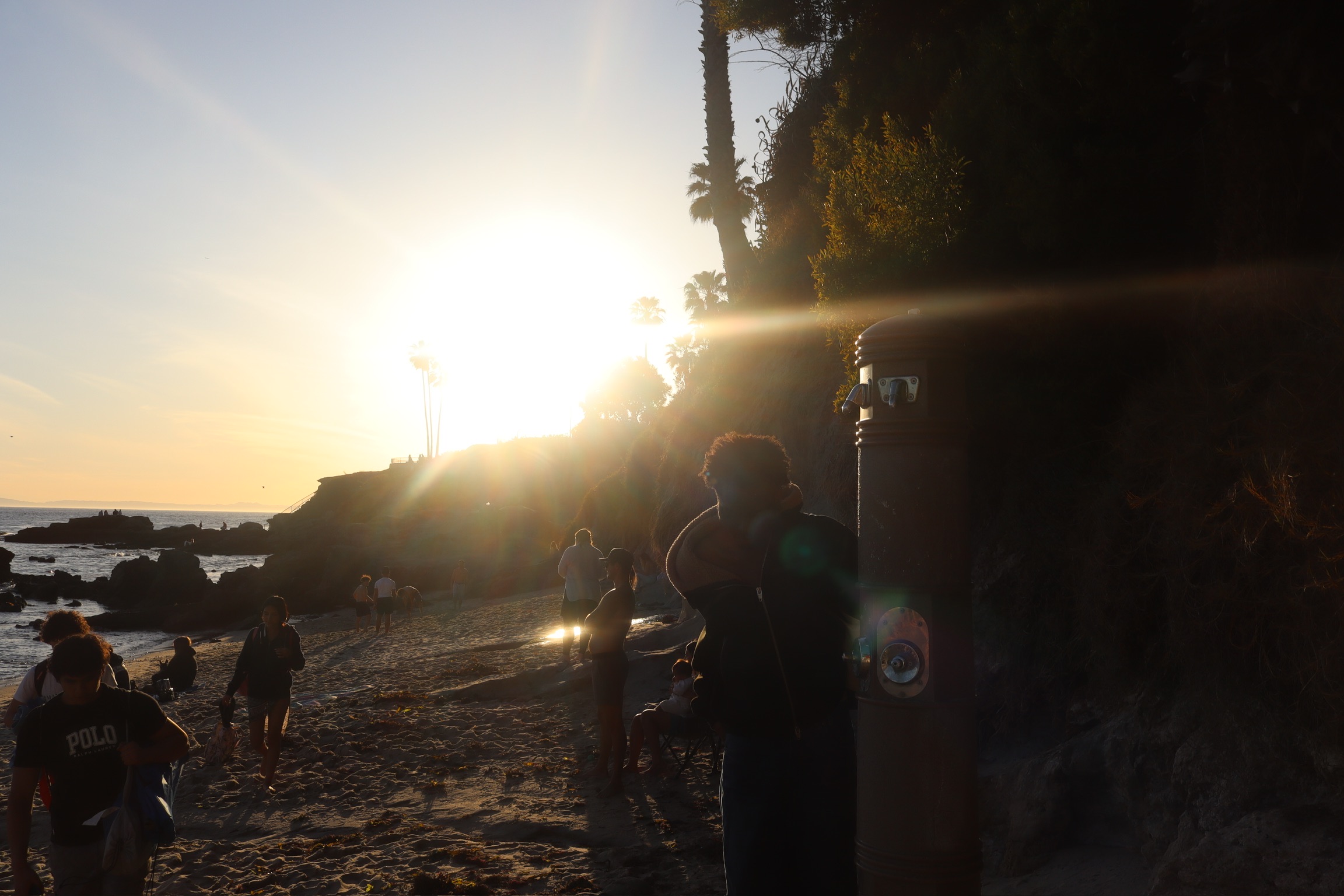 CALIFORNIA SPRING 25 photo
